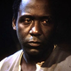 Roots (Warner Bros.)